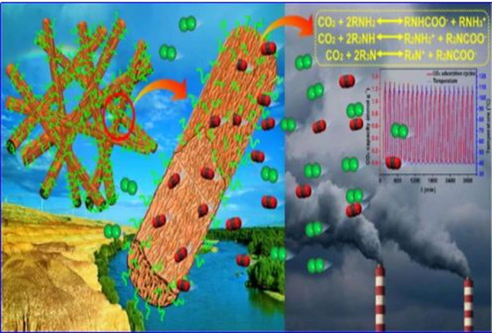 A relação entre membrana e CO2